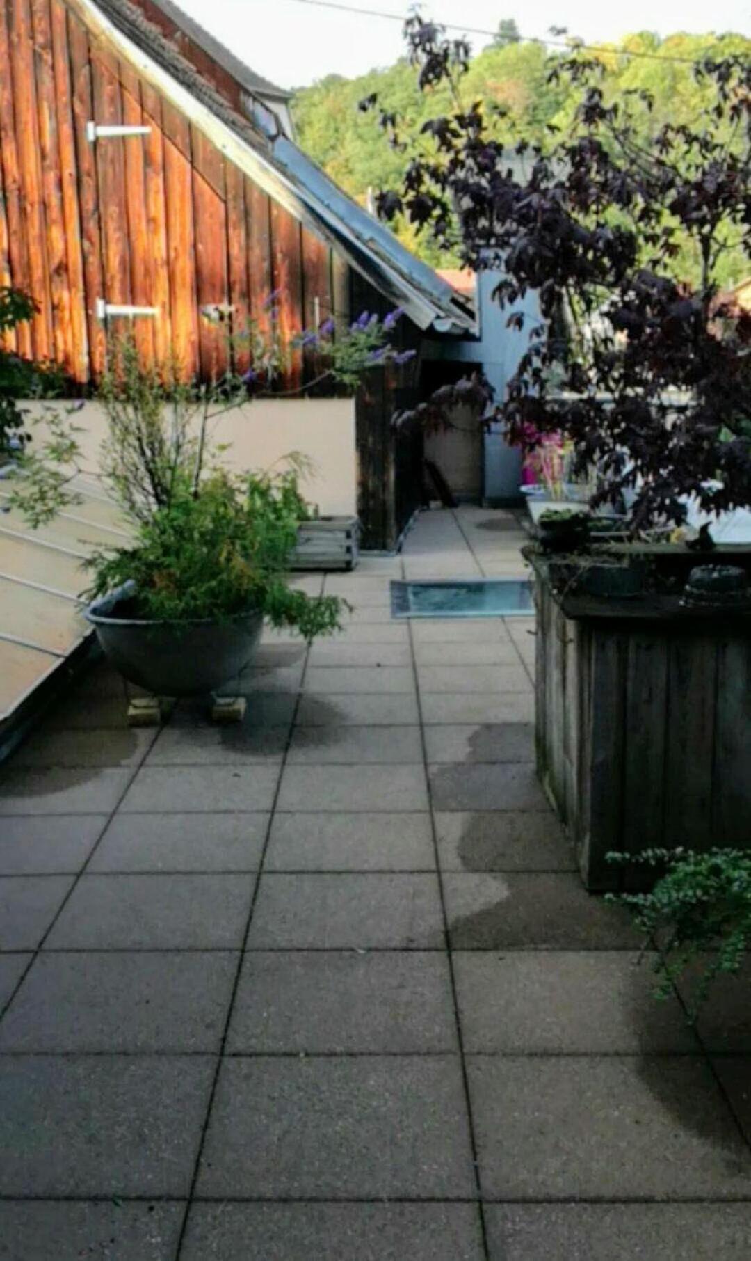 "Cote Nature", Appartement Cosy Au Coeur De Munster Munster  Exterior foto