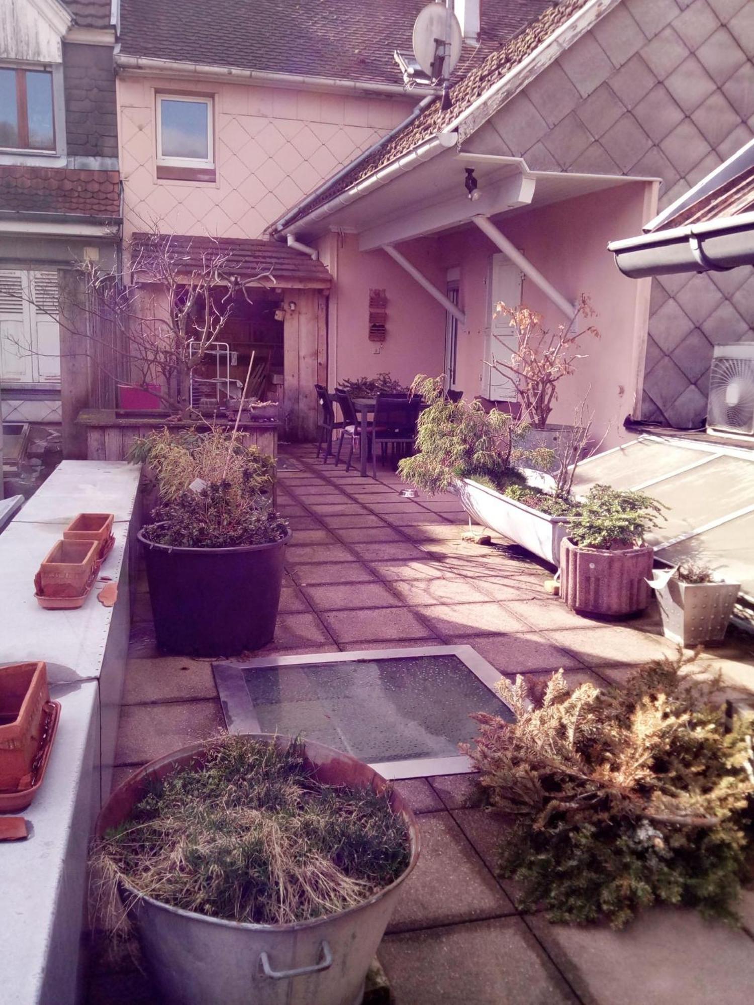 "Cote Nature", Appartement Cosy Au Coeur De Munster Munster  Exterior foto