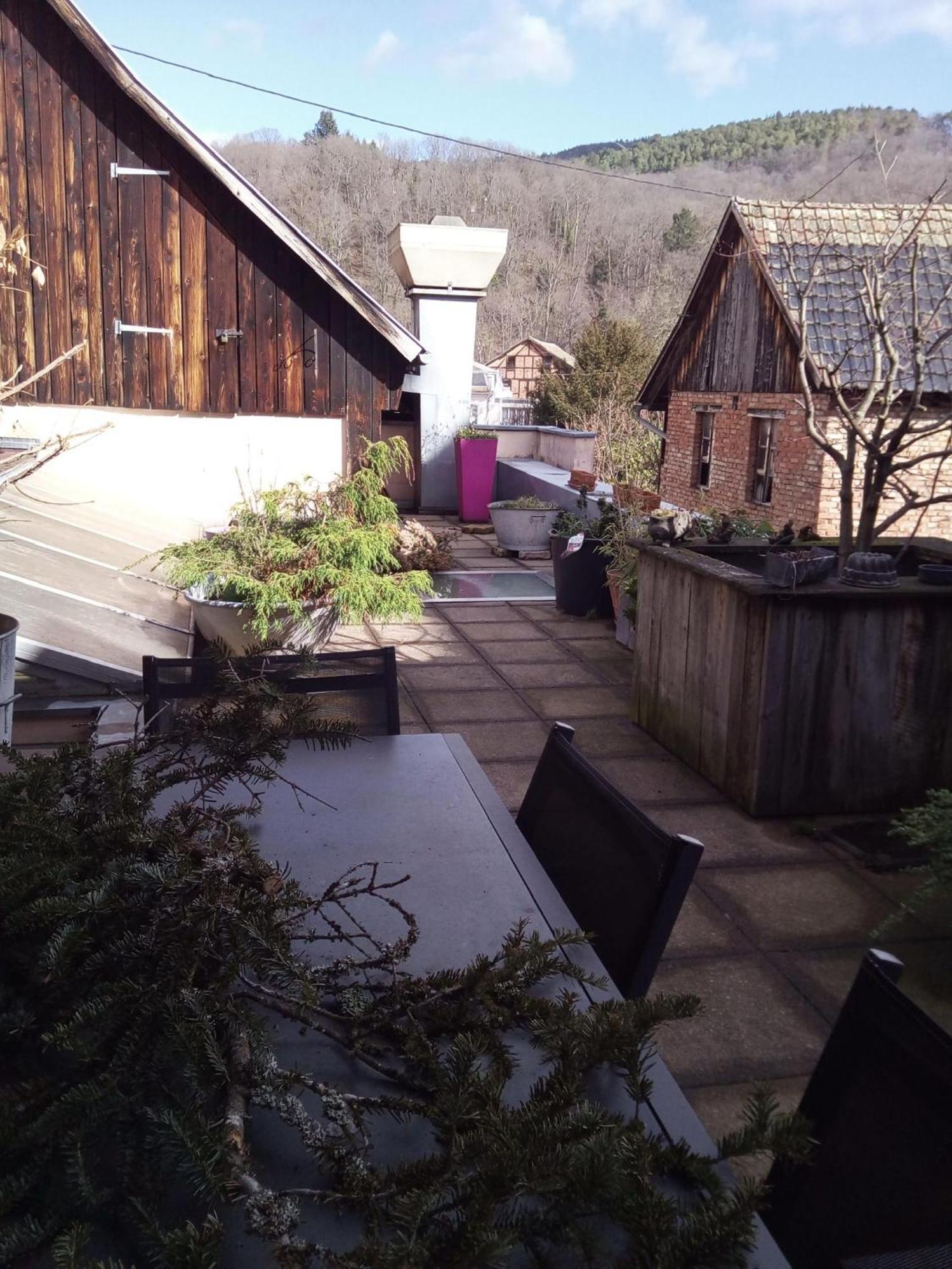 "Cote Nature", Appartement Cosy Au Coeur De Munster Munster  Exterior foto